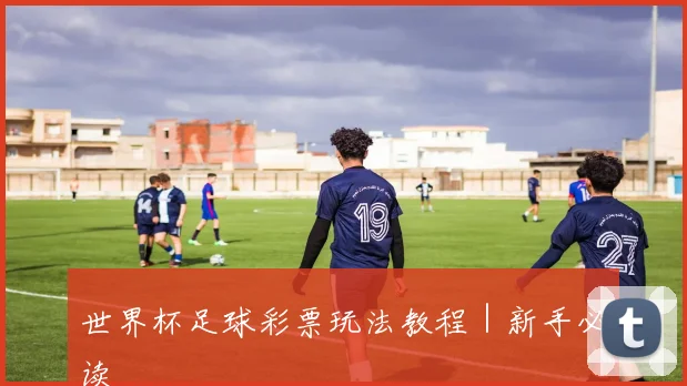世界杯足球彩票玩法教程｜新手必读