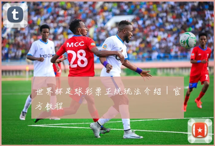 世界杯足球彩票正规玩法介绍｜官方教程